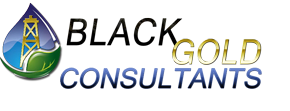 Black Gold Consultancy